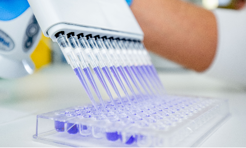 semaglutide india brands Novo Nordisk to protect US patients from unlawful sales of non-FDA approved  'semaglutide medicines'