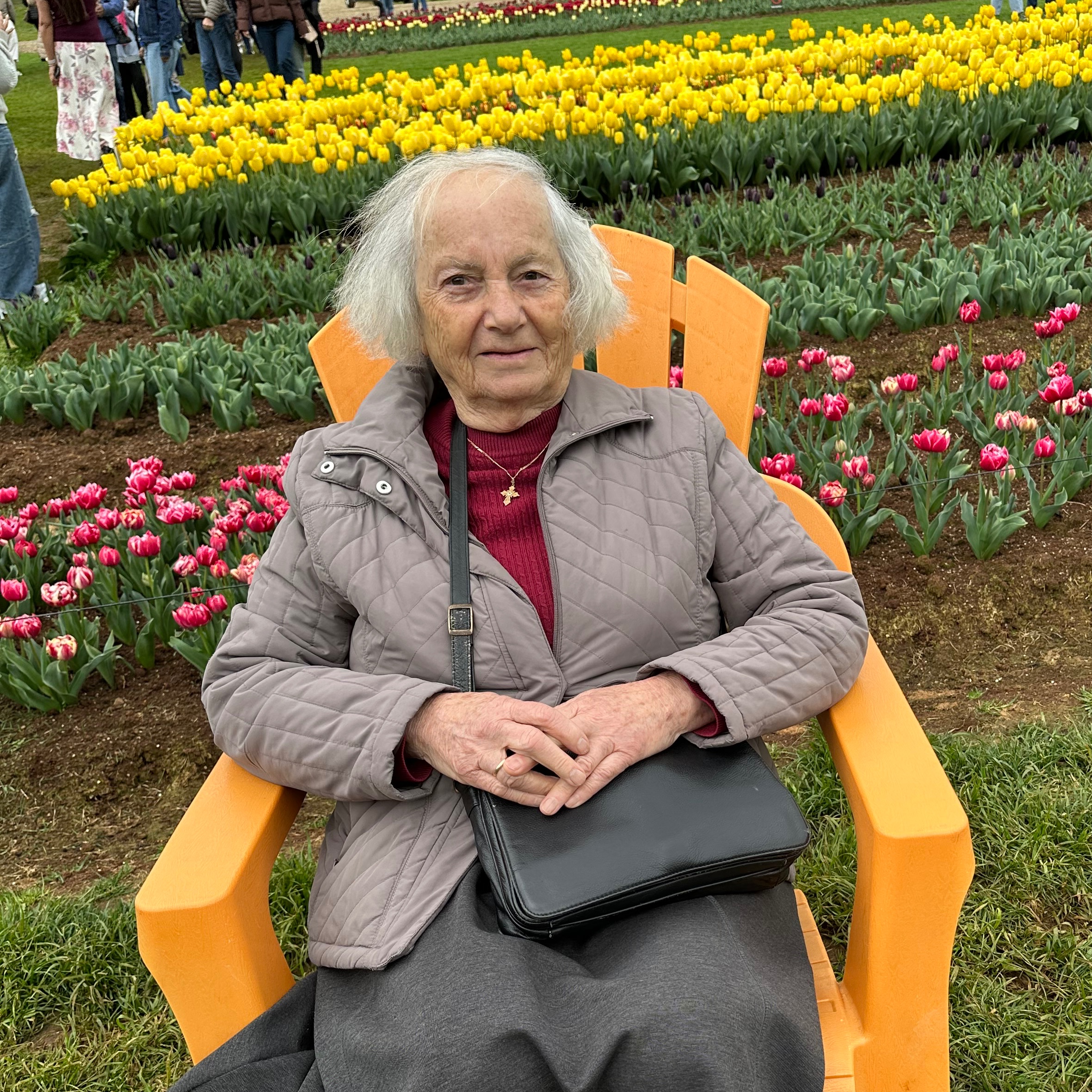 Androniki Panayi